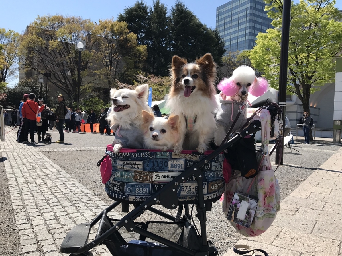 f:id:skmn4747:20190414205759j:plain f:id:skmn4747:20190414205759j:plain