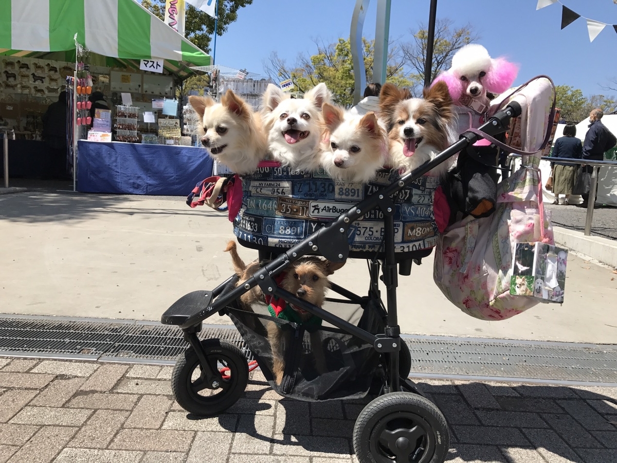 f:id:skmn4747:20190414213522j:plain f:id:skmn4747:20190414213522j:plain
