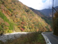 梅ヶ島の紅葉　（静岡県静岡市葵区）