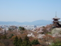 清水寺　（京都府京都市）