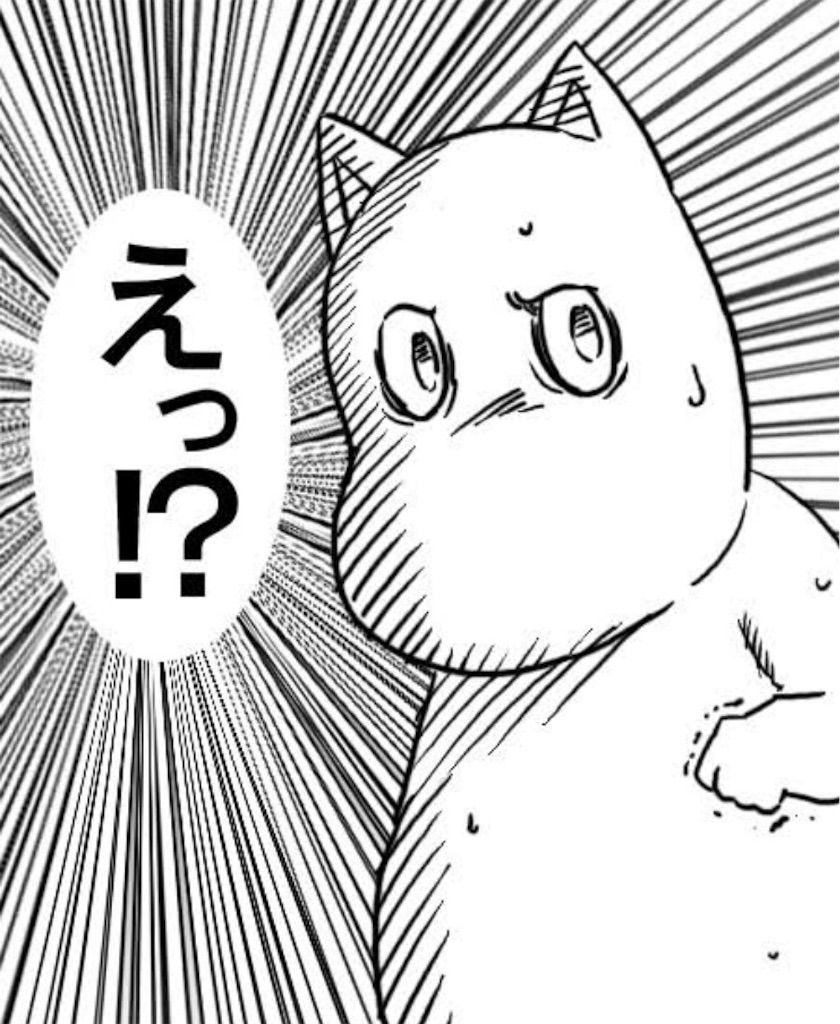 f:id:skns-0526:20190224182323j:image f:id:skns-0526:20190224182323j:image