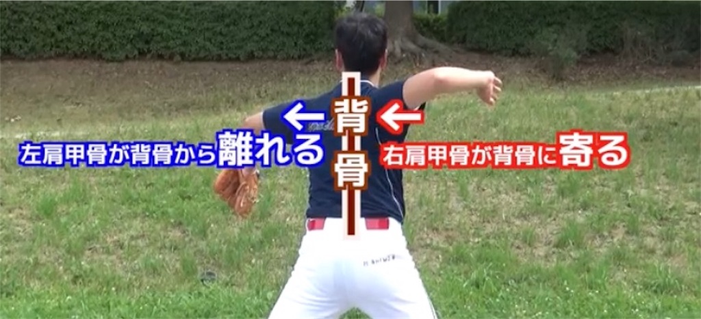 f:id:skns-0526:20190224192307j:image f:id:skns-0526:20190224192307j:image