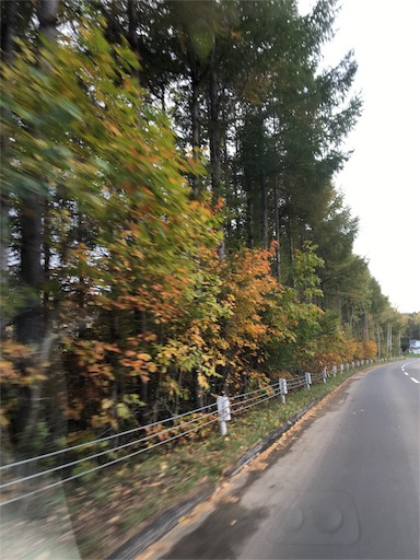 f:id:skohaku:20171015194210j:plain f:id:skohaku:20171015194210j:plain