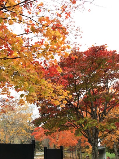 f:id:skohaku:20171015194327j:plain f:id:skohaku:20171015194327j:plain