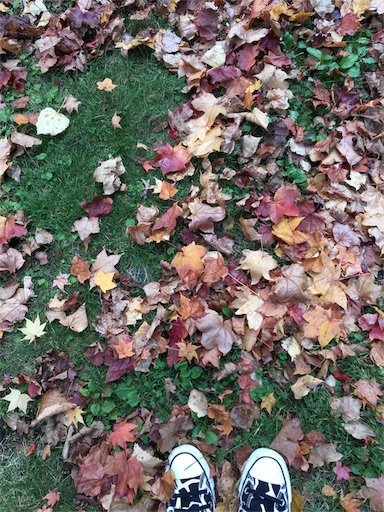 f:id:skohaku:20171015194342j:plain f:id:skohaku:20171015194342j:plain
