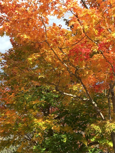 f:id:skohaku:20171015194810j:plain f:id:skohaku:20171015194810j:plain