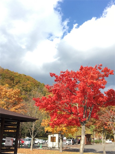 f:id:skohaku:20171015215338j:plain f:id:skohaku:20171015215338j:plain