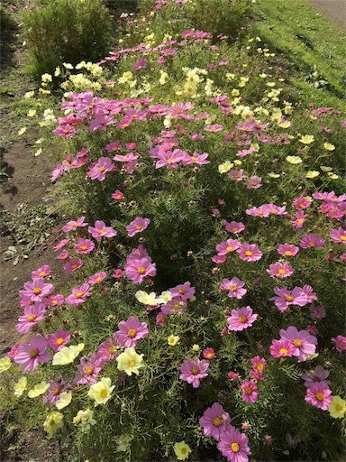 f:id:skohaku:20171015215627j:plain f:id:skohaku:20171015215627j:plain