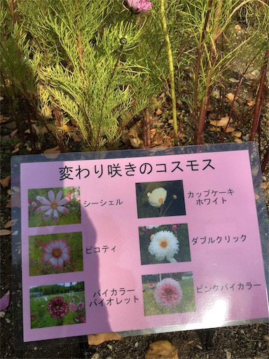 f:id:skohaku:20171015215726j:plain f:id:skohaku:20171015215726j:plain