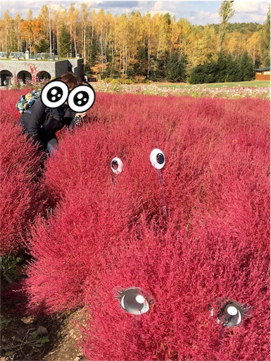 f:id:skohaku:20171015223915j:plain f:id:skohaku:20171015223915j:plain