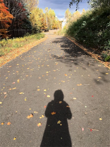 f:id:skohaku:20171015224220j:plain f:id:skohaku:20171015224220j:plain