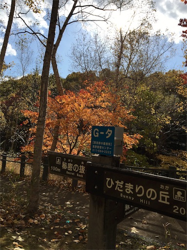 f:id:skohaku:20171015224757j:plain f:id:skohaku:20171015224757j:plain