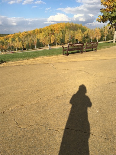 f:id:skohaku:20171015232709j:plain f:id:skohaku:20171015232709j:plain