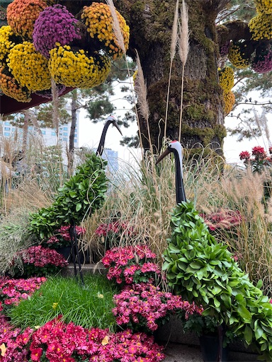 f:id:skohaku:20240616164538j:image