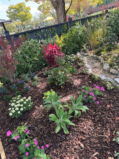 f:id:skohaku:20251129084811j:image