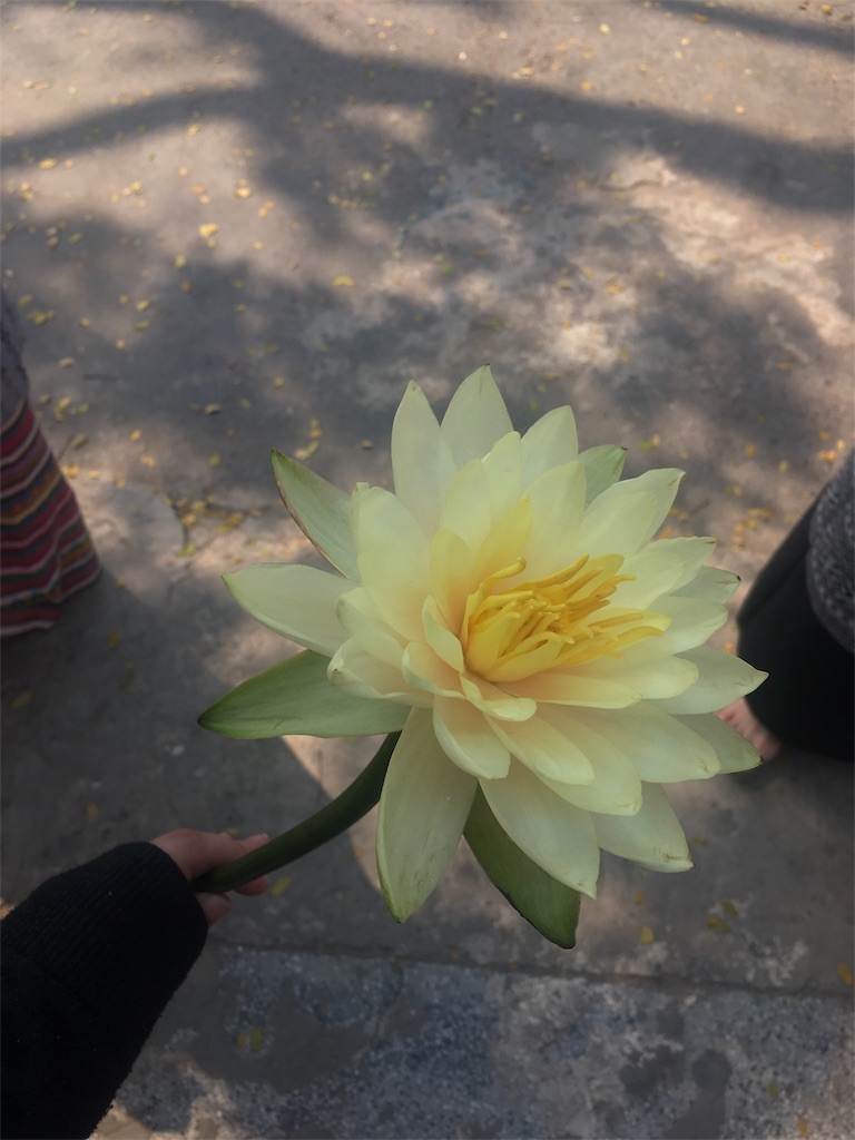 f:id:skr8823:20170309085424j:image f:id:skr8823:20170309085424j:image