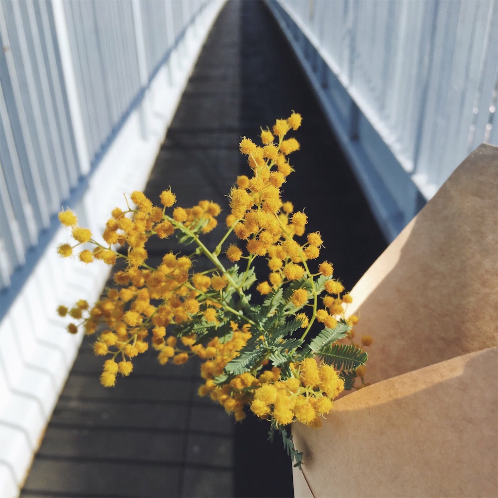 f:id:skrg_skmst:20180326191723j:image f:id:skrg_skmst:20180326191723j:image