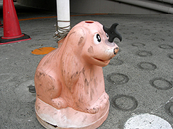 犬に・・・!!
