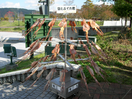 道の駅でイカが飛んでた。