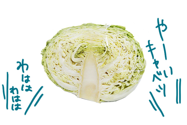 f:id:skrimk0218:20190313043543j:plain f:id:skrimk0218:20190313043543j:plain