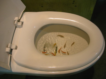 f:id:skrts:20090701161440j:image