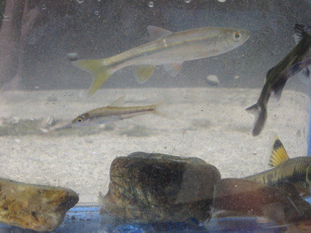 f:id:skrts:20090910140630j:image