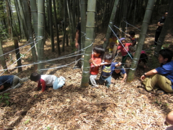 f:id:sks_joho:20110522010613j:image