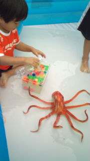 f:id:sks_joho:20110829130551j:image