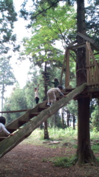 f:id:sks_joho:20111105105605j:image