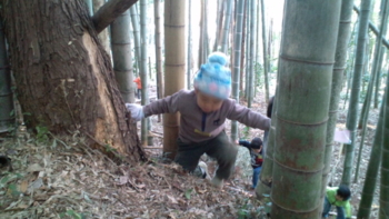 f:id:sks_joho:20111225221829j:image