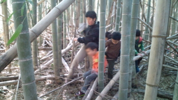 f:id:sks_joho:20111225221832j:image