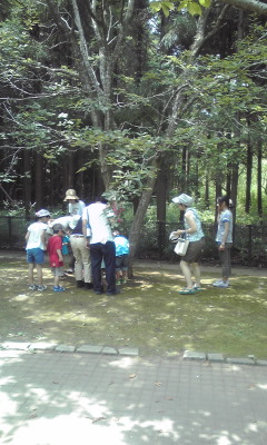 f:id:sks_joho:20120728111937j:image