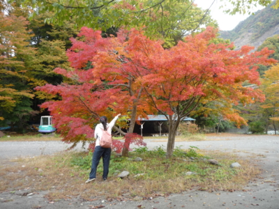 f:id:sks_joho:20121112140445j:image:w360