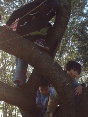 f:id:sks_joho:20131028000830j:image