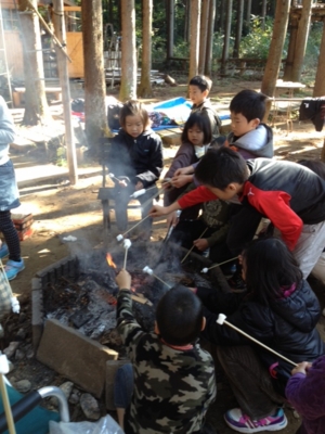 f:id:sks_joho:20131125215519j:image