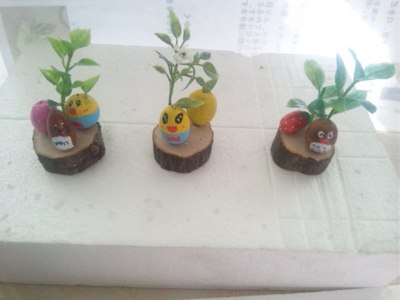 f:id:sks_joho:20140119135427j:image
