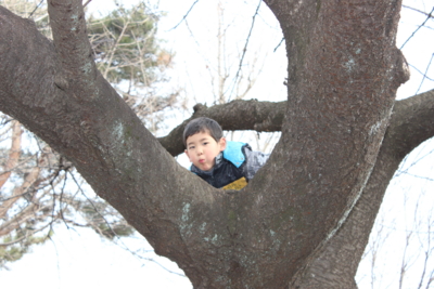 f:id:sks_joho:20140125212345j:image