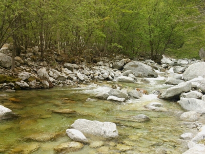 f:id:sks_joho:20140505164209j:image