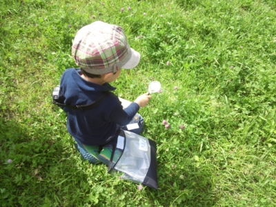 f:id:sks_joho:20140518173739j:image f:id:sks_joho:20140518173739j:image