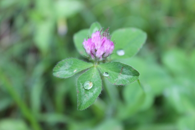 f:id:sks_joho:20140622182003j:image