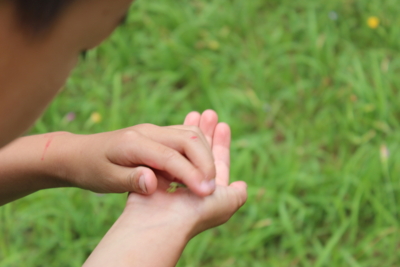 f:id:sks_joho:20140622182026j:image