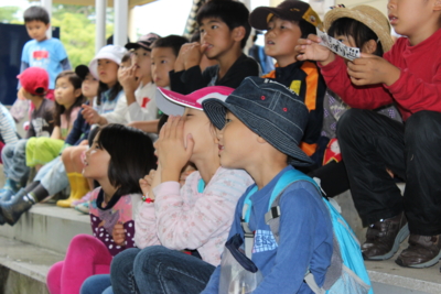 f:id:sks_joho:20140622183516j:image