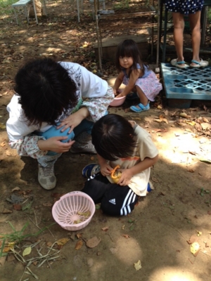 f:id:sks_joho:20140801191618j:image