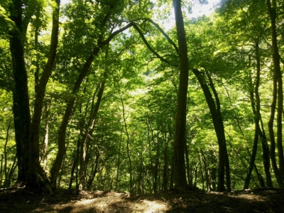 f:id:sks_joho:20150530134400j:image