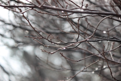 f:id:sks_joho:20151216094450j:image