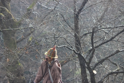 f:id:sks_joho:20151216094451j:image