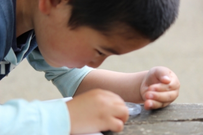 f:id:sks_joho:20160608122345j:image