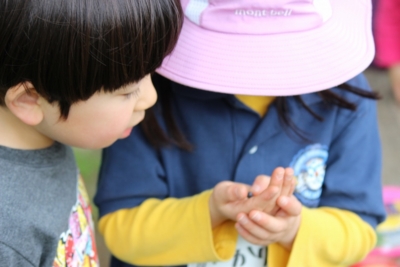 f:id:sks_joho:20160608122347j:image