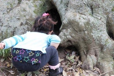 f:id:sks_joho:20160608122456j:image