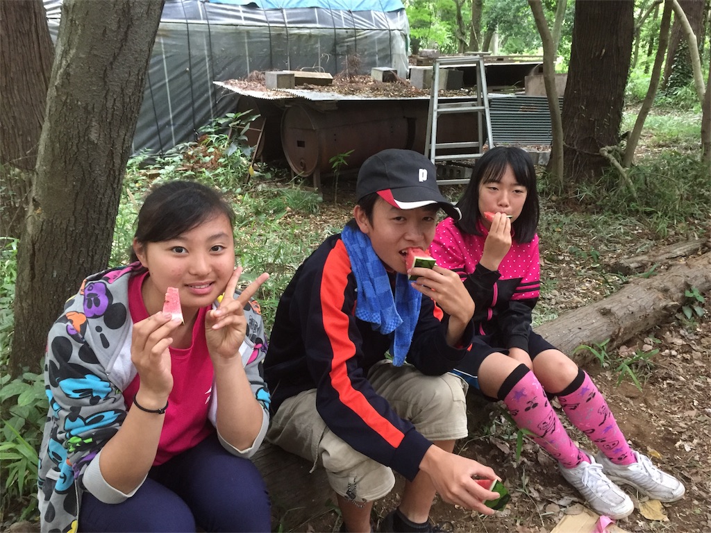 f:id:sks_joho:20170611210606j:image